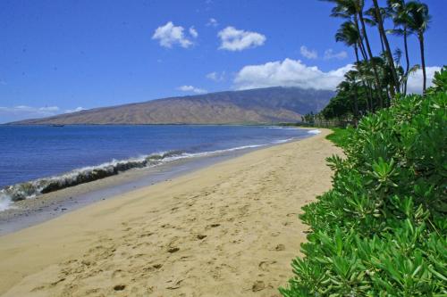 Kihei Beach #303 by Ali'i Resorts - main image