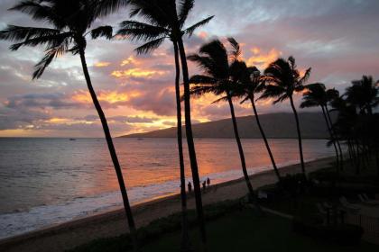 Kihei Beach #305 by Ali'i Resorts - image 10