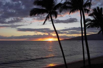 Kihei Beach #305 by Ali'i Resorts - image 14