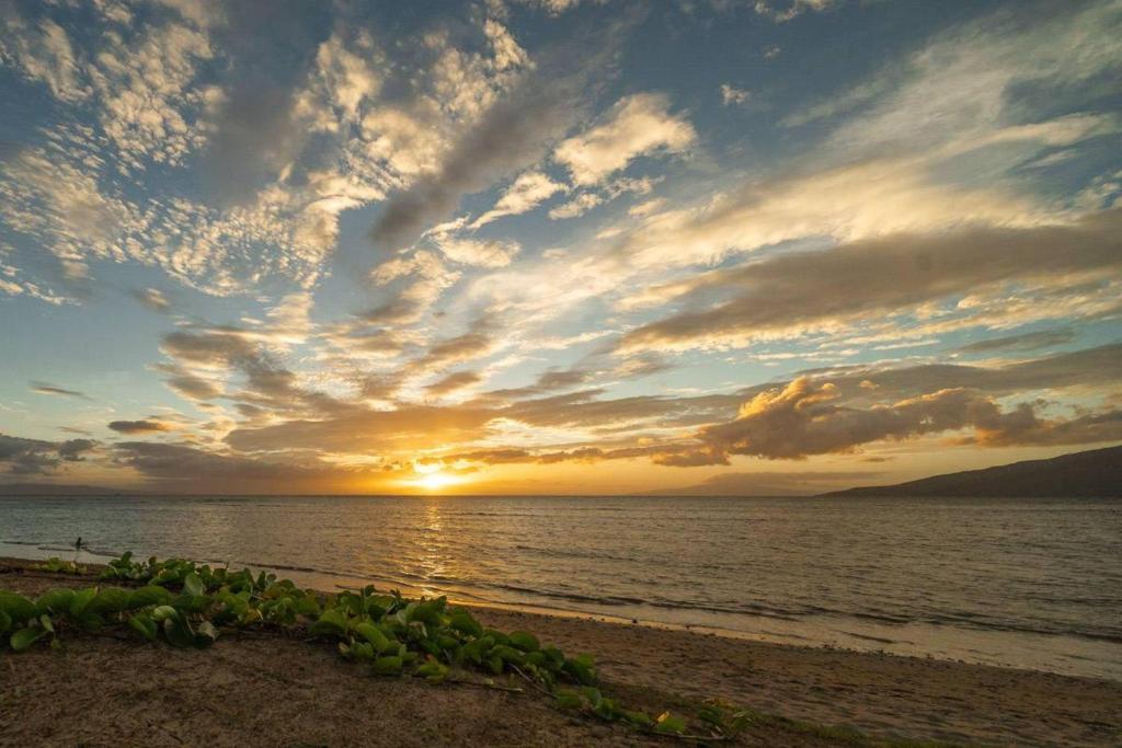 Maui Sunset B317 by Coldwell Banker Island Vacations - image 3