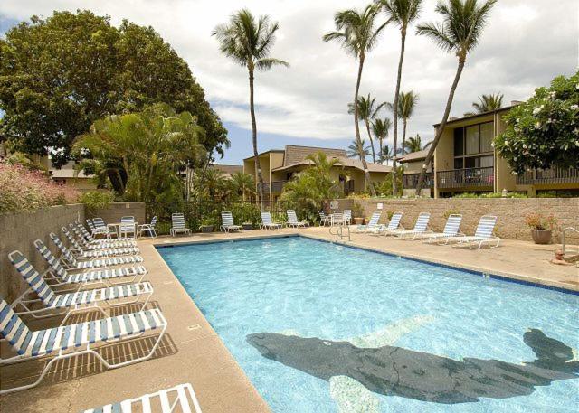 Kihei Garden Estates G-102 1BR Pool Jacuzzi Sleeps 4 - image 4