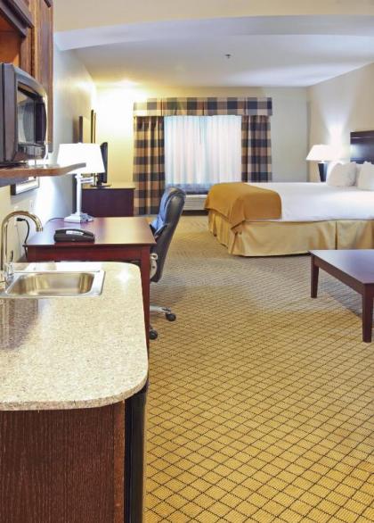 Holiday Inn Express Hotel & Suites Kilgore North an IHG Hotel - image 7