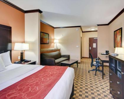 Comfort Suites Kilgore - image 9