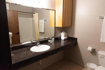 Premium Inn and Suites - image 11