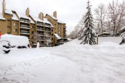 Mountain Green Condos at Killington - image 3