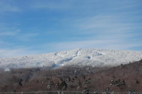 Mountain Green Condos at Killington - image 5