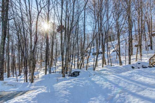 Killington's Hideaway - image 3