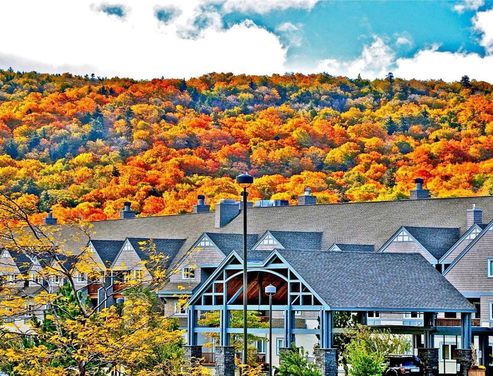 Large Comfortable Condos at World Renowned Killington Mountain - main image