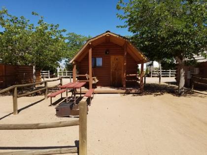 Kingman KOA - image 14