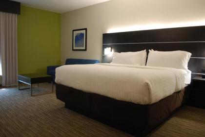 Holiday Inn Express Hotel & Suites Kingsport-Meadowview I-26 an IHG Hotel - image 11