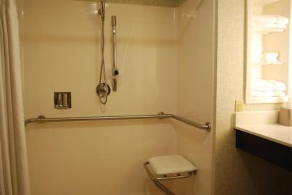 Holiday Inn Express Hotel & Suites Kingsport-Meadowview I-26 an IHG Hotel - image 12