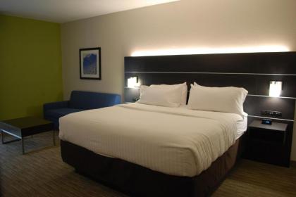 Holiday Inn Express Hotel & Suites Kingsport-Meadowview I-26 an IHG Hotel - image 18