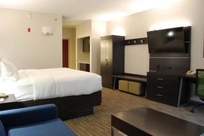 Holiday Inn Express Hotel & Suites Kingsport-Meadowview I-26 an IHG Hotel - image 20