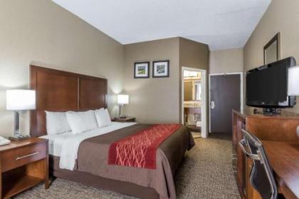 Comfort Inn South - image 11