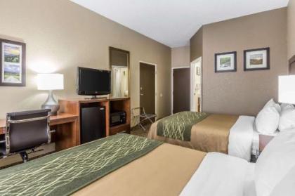 Comfort Inn South - image 12