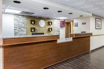 Comfort Inn South - image 14