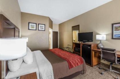 Comfort Inn South - image 2