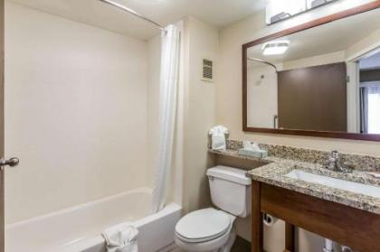 Comfort Inn South - image 7