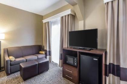 Comfort Inn South - image 9