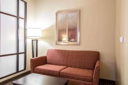 Comfort Suites Kingsport - image 5