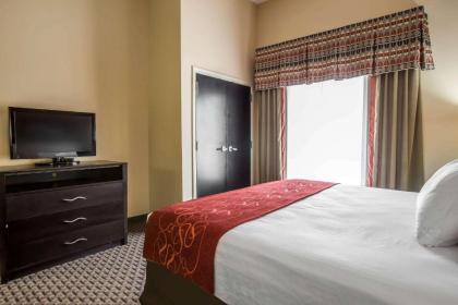 Comfort Suites Kingsport - image 8