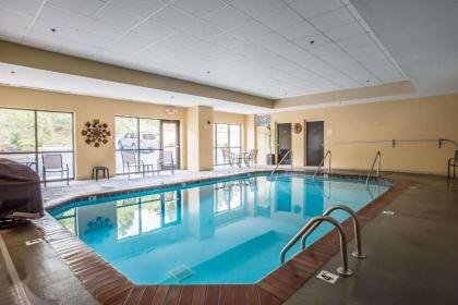 Comfort Suites Kingsport - image 9