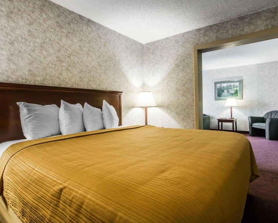 Quality Inn and Suites Kingston - image 3