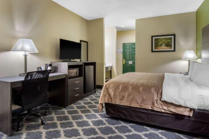 Quality Inn - image 11