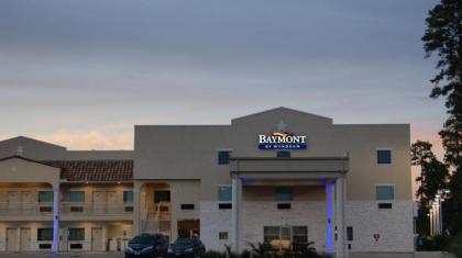 Baymont by Wyndham Kingwood - image 12