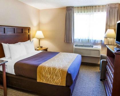 Comfort Inn Kirkland - image 12