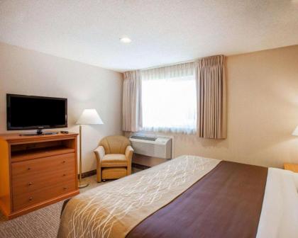 Comfort Inn Kirkland - image 13