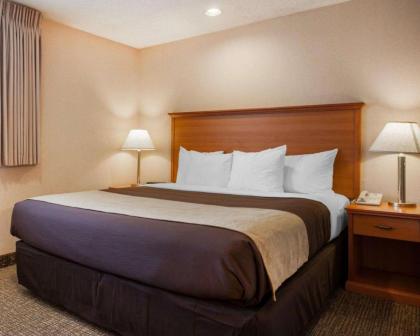 Comfort Inn Kirkland - image 2