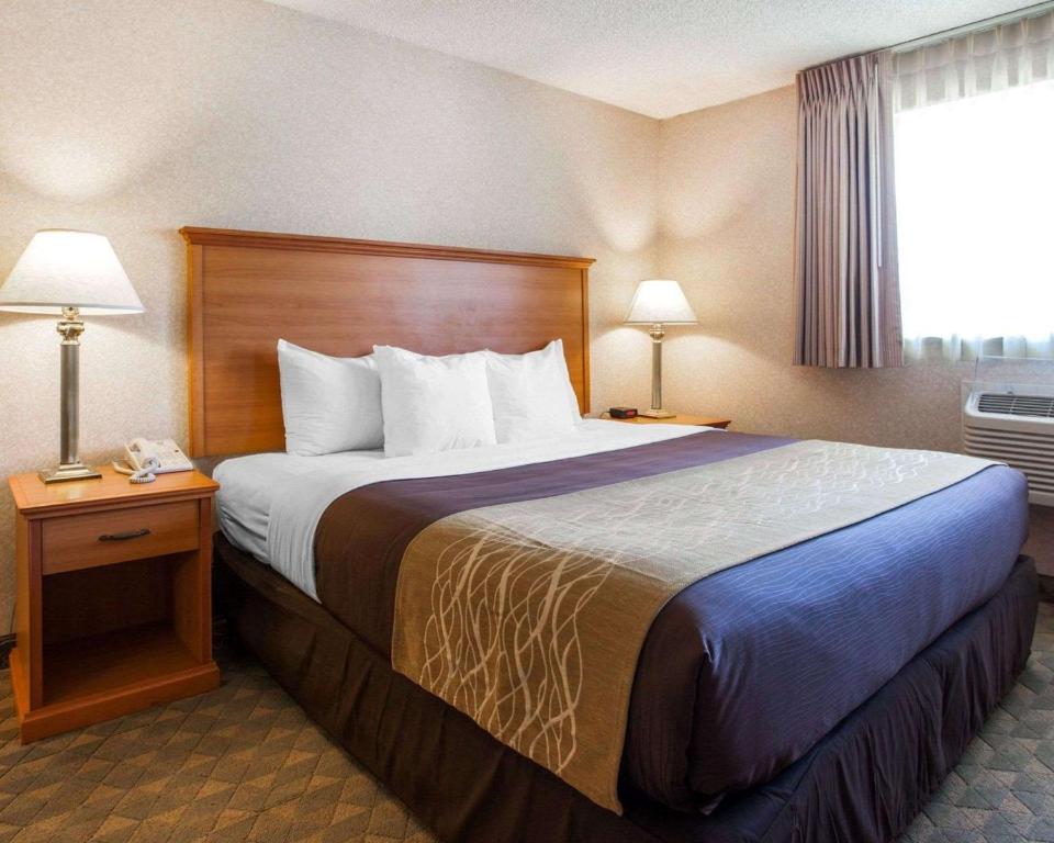 Comfort Inn Kirkland - image 3