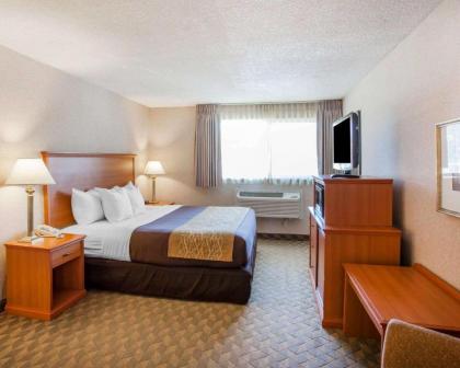 Comfort Inn Kirkland - image 7