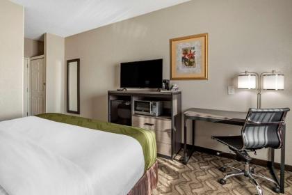 Quality Inn Kirksville - image 12