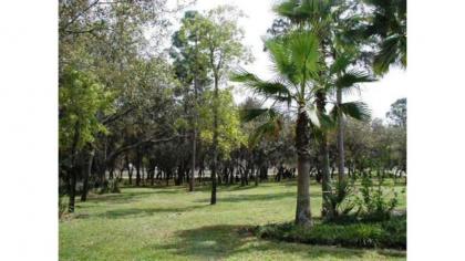 Holiday homes in Kissimmee Florida