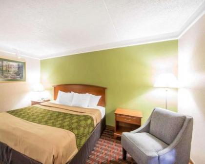 Econo Lodge North Knoxville - image 2