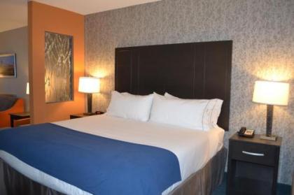 Holiday Inn Express Hotel & Suites Knoxville an IHG Hotel - image 3