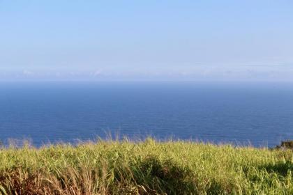 Waipi'o Lodge - image 6