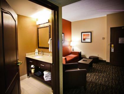 Holiday Inn & Suites Downtown La Crosse an IHG Hotel - image 12