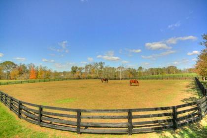 Bluegrass Country Estate - image 12