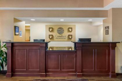 Comfort Inn & Suites LaGrange - image 1