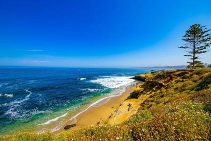 #101 - La Jolla Village Oceanfront - image 15