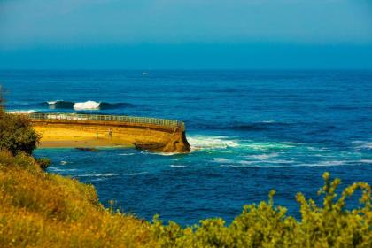 #101 - La Jolla Village Oceanfront - image 18