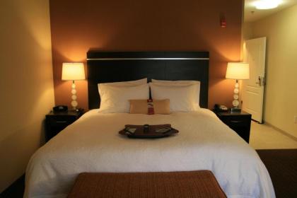 Hampton Inn La Junta - image 8