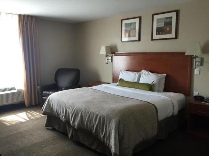 Candlewood Suites La Porte an IHG Hotel - image 7