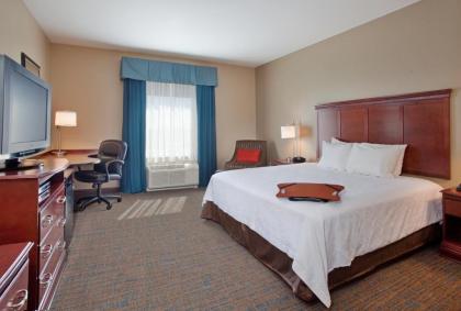 Hampton Inn & Suites Omaha Southwest-La Vista - image 8