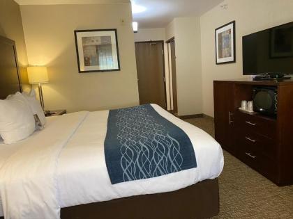 Comfort Inn Lacey - Olympia - image 15