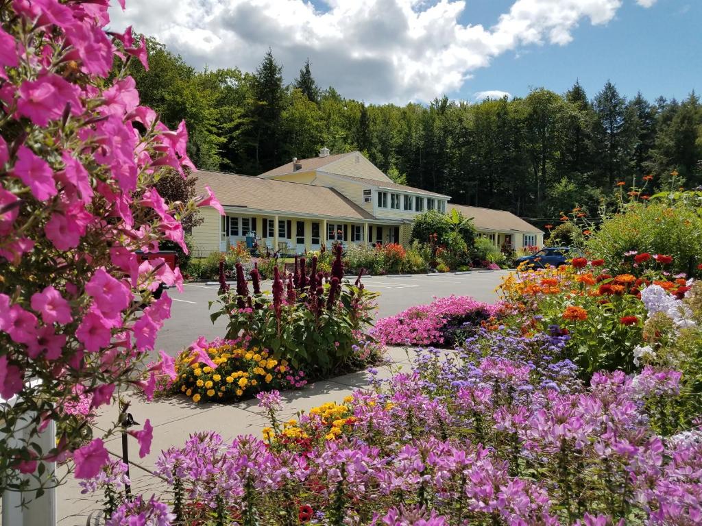 Bay Top Motel - main image