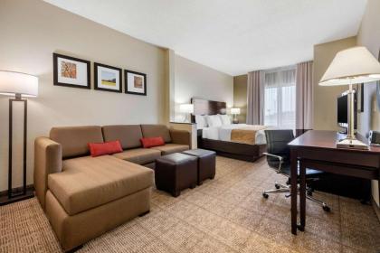 Comfort Suites Lafayette University Area - image 6